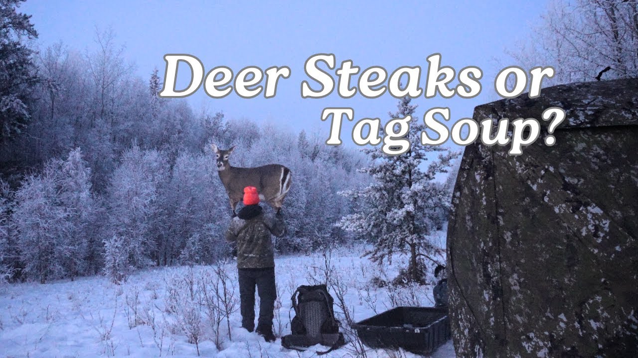 The last attempt to fill the freezer in 2025 | White tail deer hunting