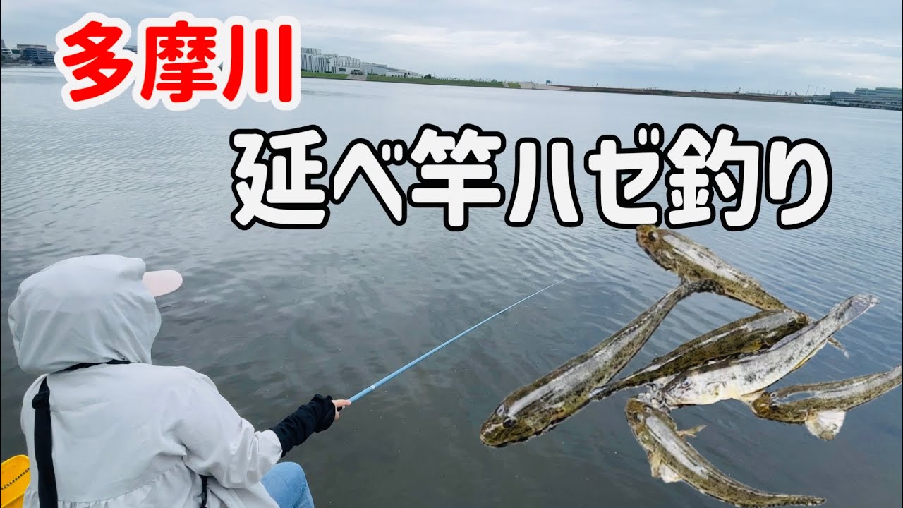 【延べ竿】多摩川でハゼ釣り