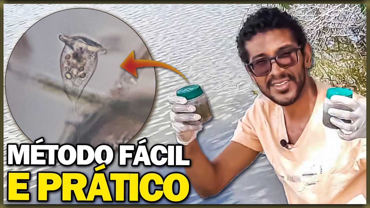 Como coletar água de lagoa e observar microrganismos no microscópio