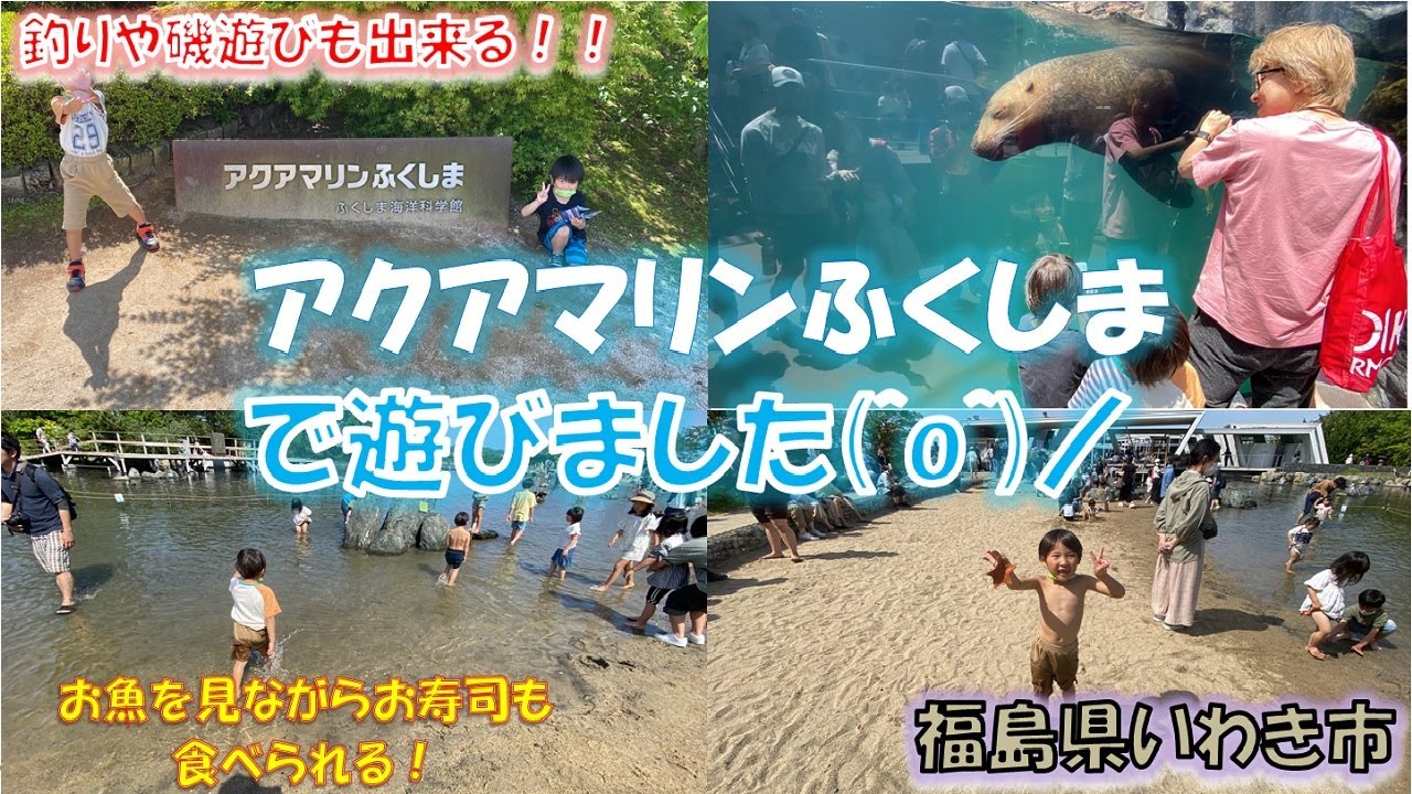 ゴールデンウイークに福島県いわき市にあるアクアマリンふくしまで水族館＆磯遊び！