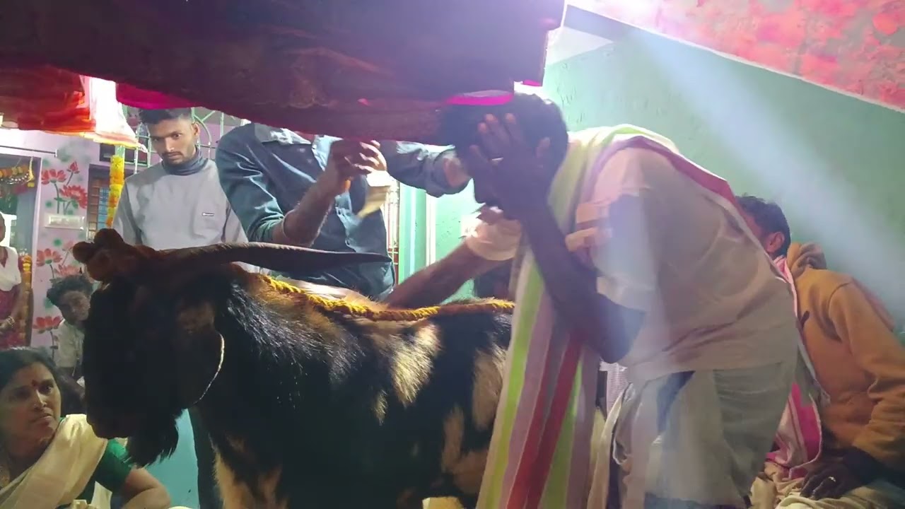 avala sriram golla chaduvu gollavpete 9618237790 9,2,2026