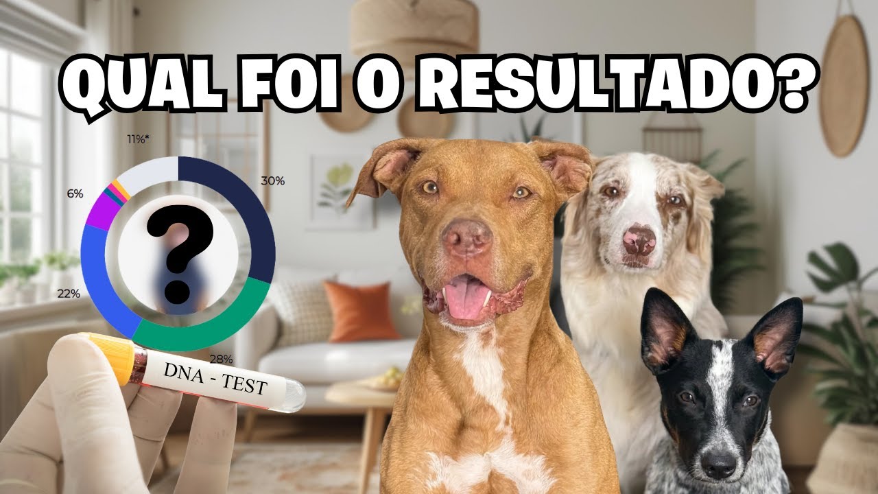Fizemos Um Teste De DNA Nos Nossos Cachorros e o Resultado Foi Surpreendente 😮