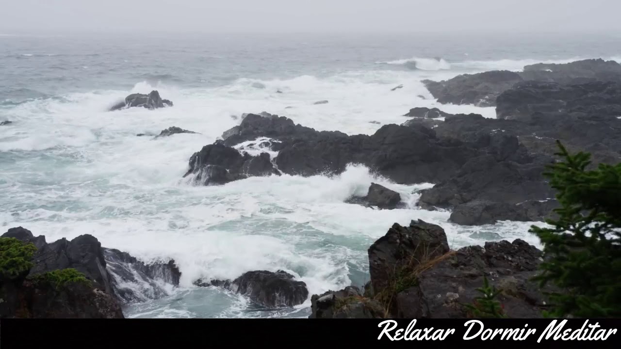 8 horas de chuva com ondas do mar para Relaxar Dormir Meditar
