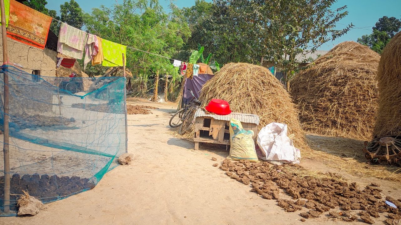 গ্রামের দুপুরের ভিডিও 