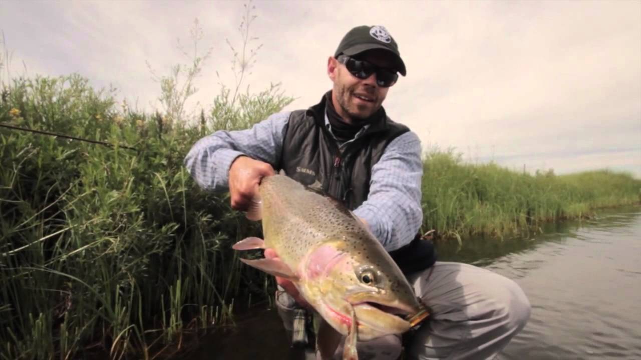 The Animas&trade; & Landon Mayer HD