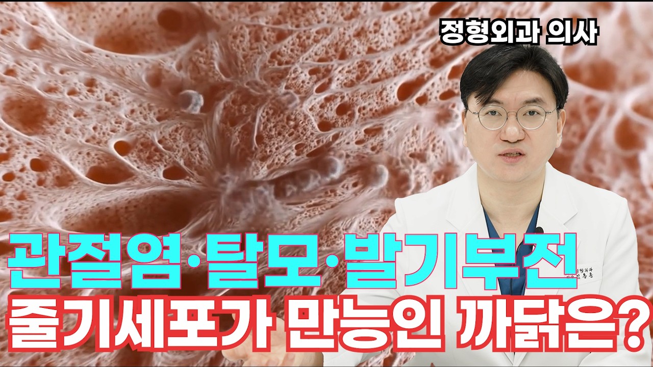줄기세포는 왜 ‘만능’일까?