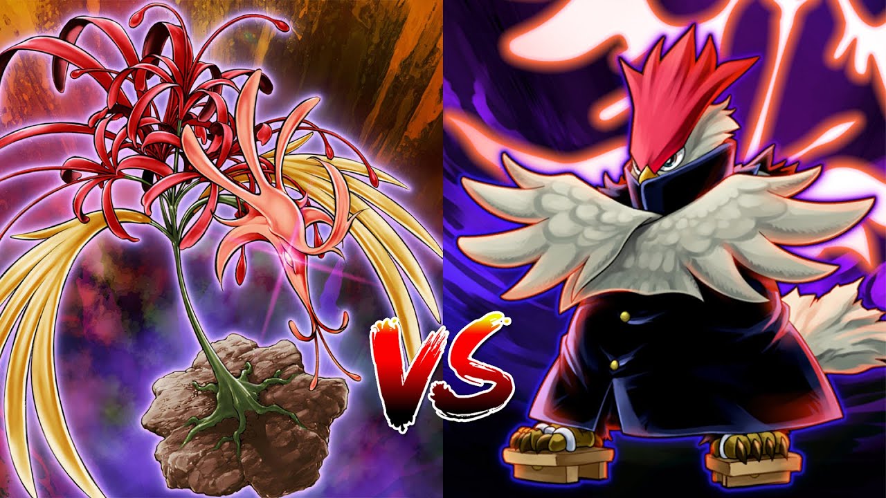 Amaryllis Burn VS Vayu Turbo | Edison Format (8K)