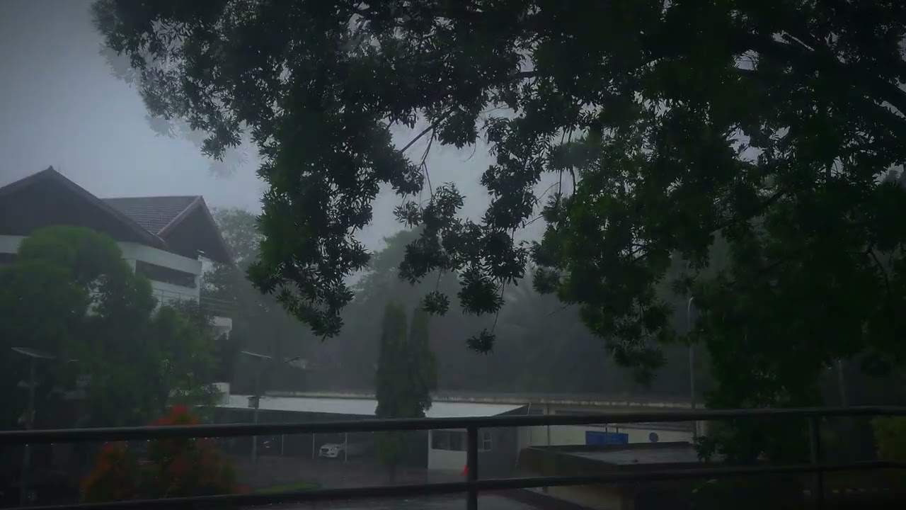 ASMR Deep Sleep & Relaxation Sounds | Heavy Rain on Campus in Rainy City