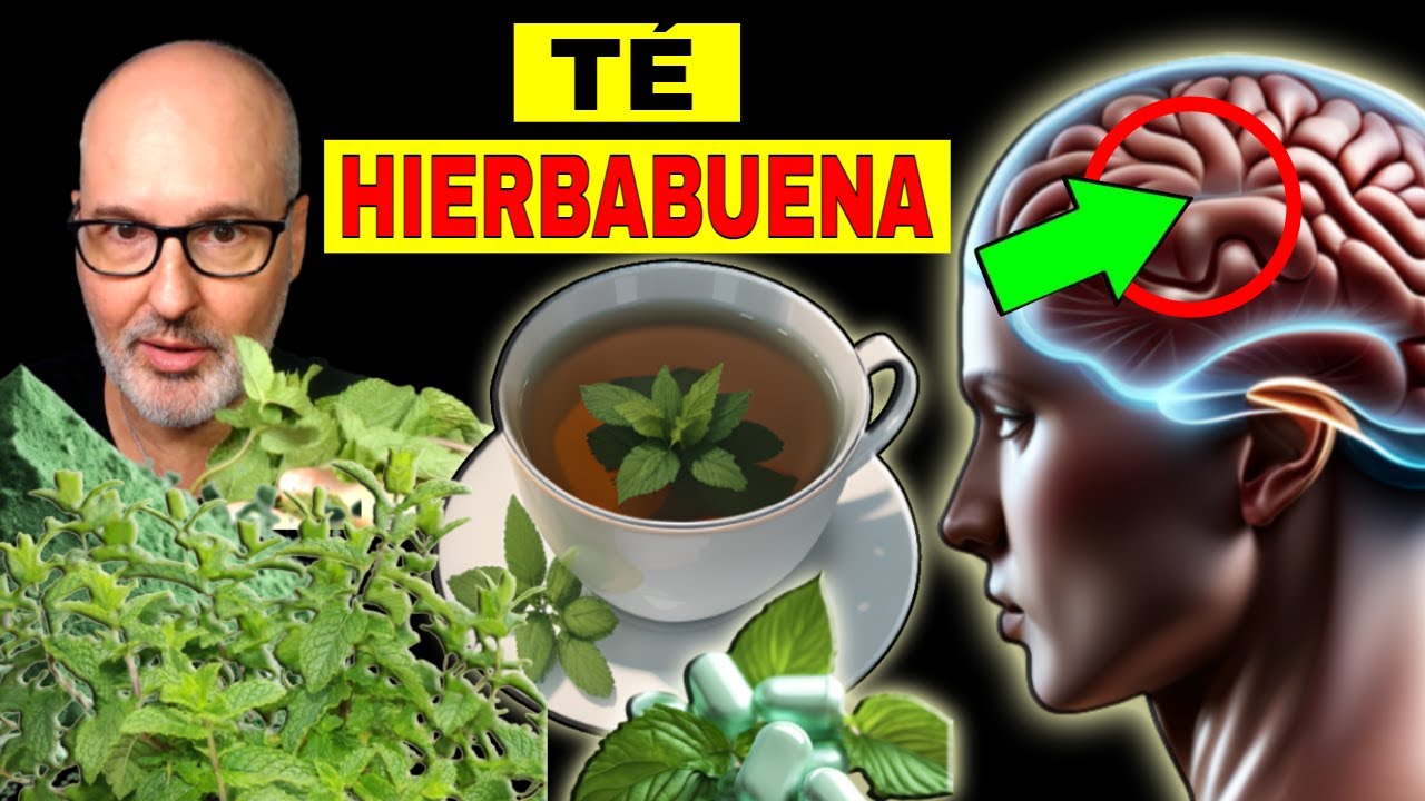 ENFERMEDADES que SANAN con TÉ de HIERBABUENA (CÓMO USARLA)