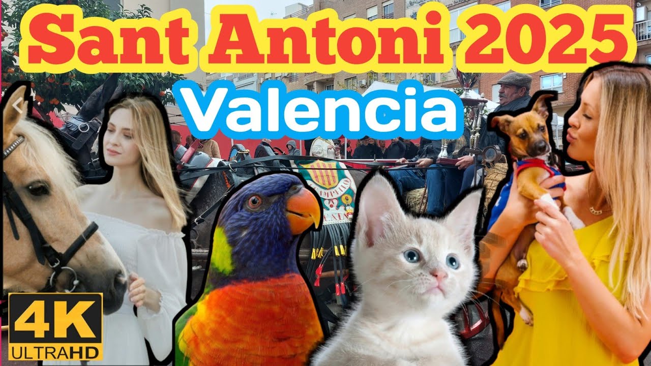 Fiestas de San Antonio Abad 2025 de Valencia 4K, #SantAntoniAbat, #sanantonio, #valencia