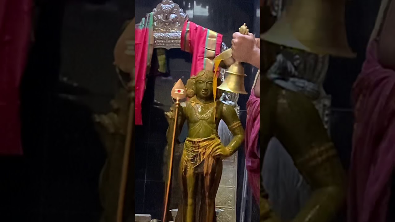 Palani Murugan Abhishekam- Haro Hara. #skandasashti #viralvideo #shorts  #varanasi  #hindufestival