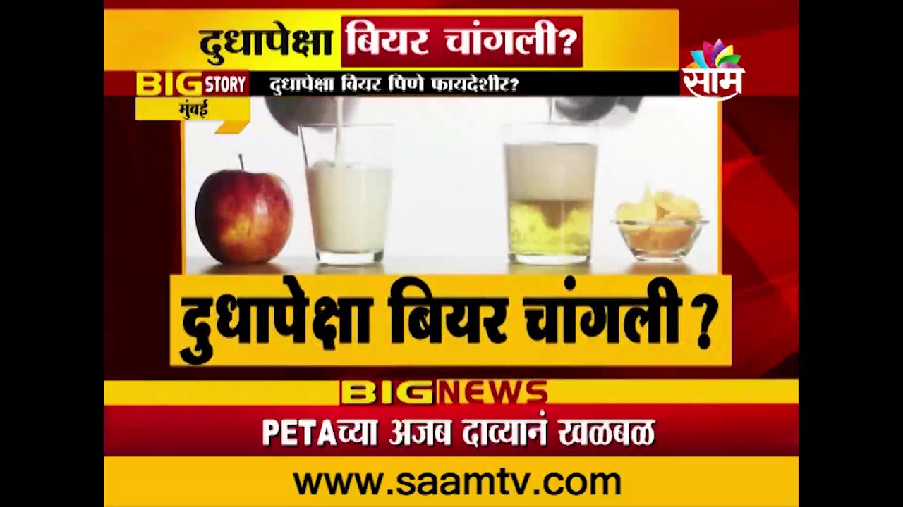 SPECIAL | दुधापेक्षा बियर चांगली ? असं कसं तुम्हीच पाहा