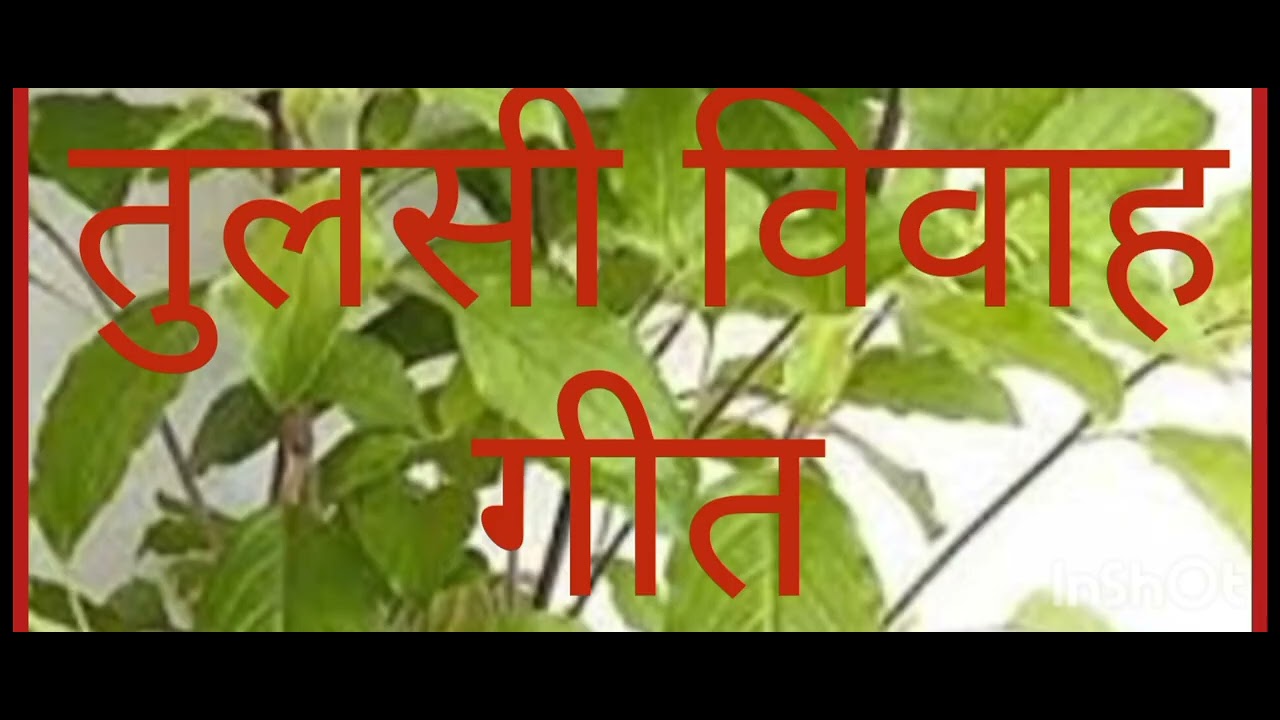 आजू घरवा आइले शालिग्राम दुल्हवा तुलसी को........