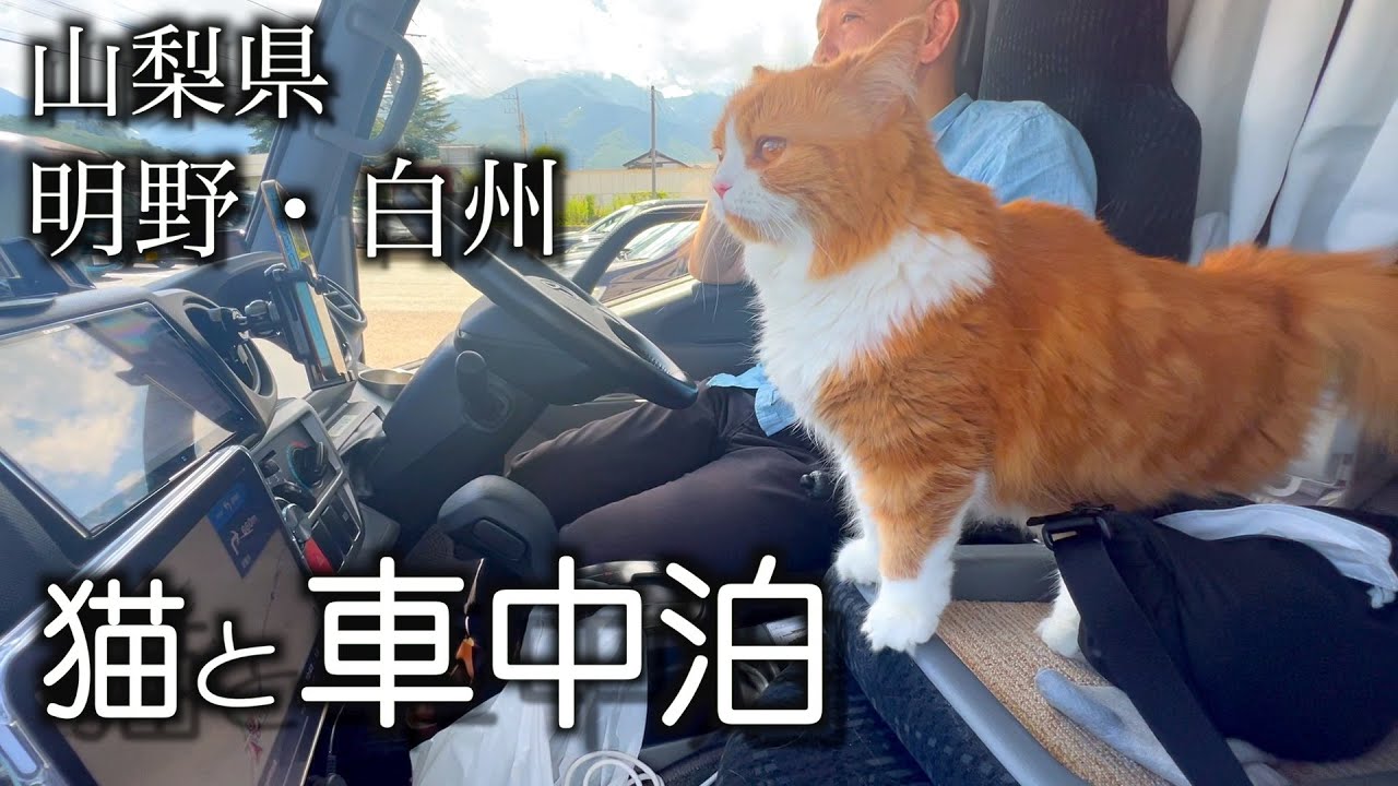 【猫とキャンピングカーで車中泊】山梨県北杜市のあけ野と白州で美味しい食べ物を食べて自然を満喫しました