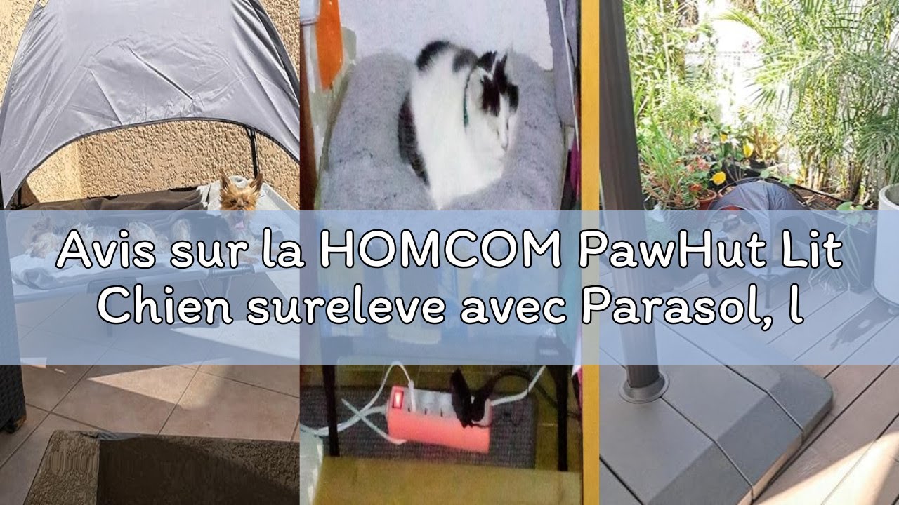 Avis sur la HOMCOM PawHut Lit Chien sureleve avec Parasol, lit de Camp Chien Chat sur Pieds Tissu Ox