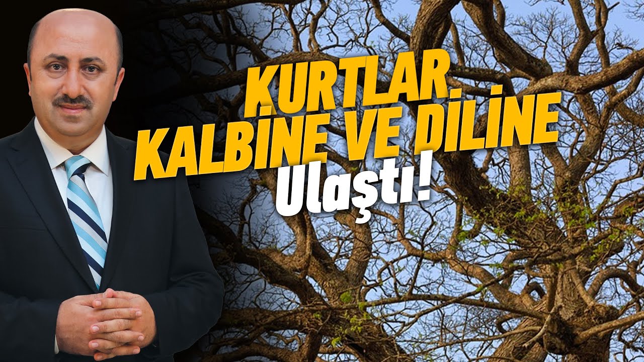Kurtlar Hz. Eyyub’un Kalbini ve Dilini Yemeye Başladı | Ömer Döngeloğlu