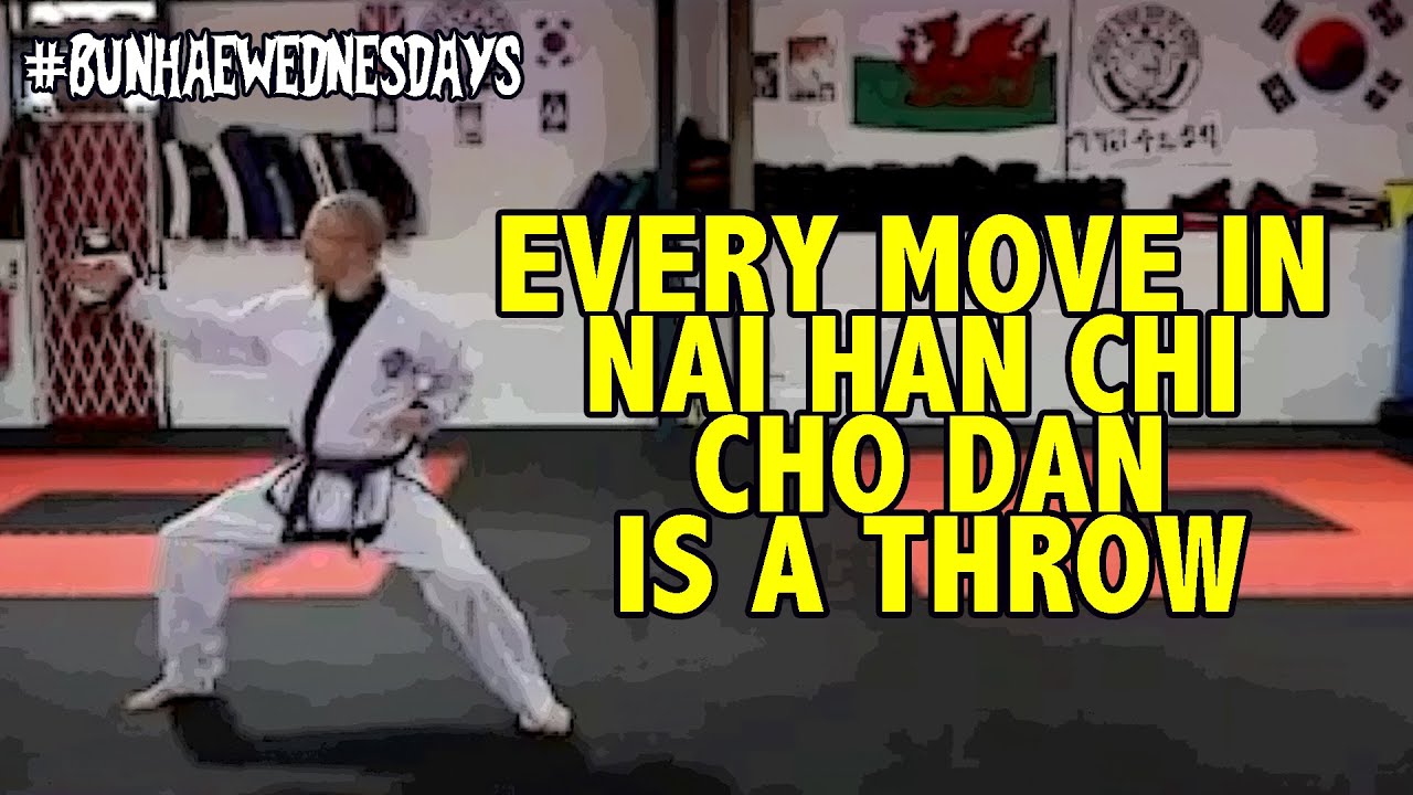Bunhae Wednesdays - Every Move in Nai Han Chi Cho Dan is a Throw