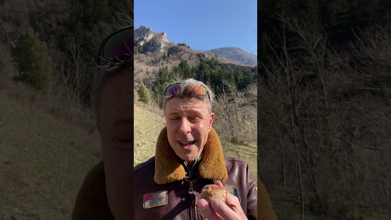 Le shiitake, utilisation thérapeutique par Esteban de Galamus Acupuncteur et Naturopathe.