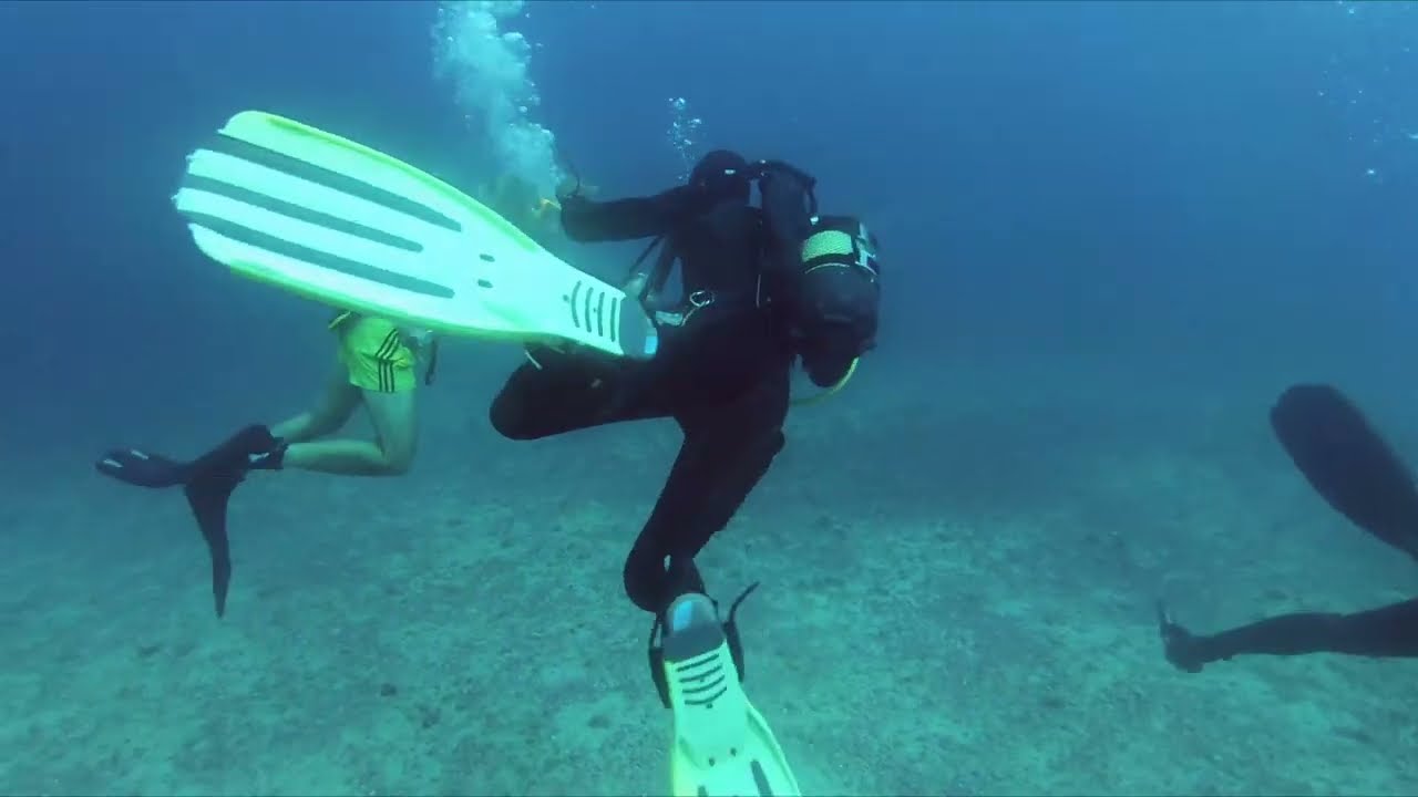 Dive at São Nicolau - Cabo verde - Day 6