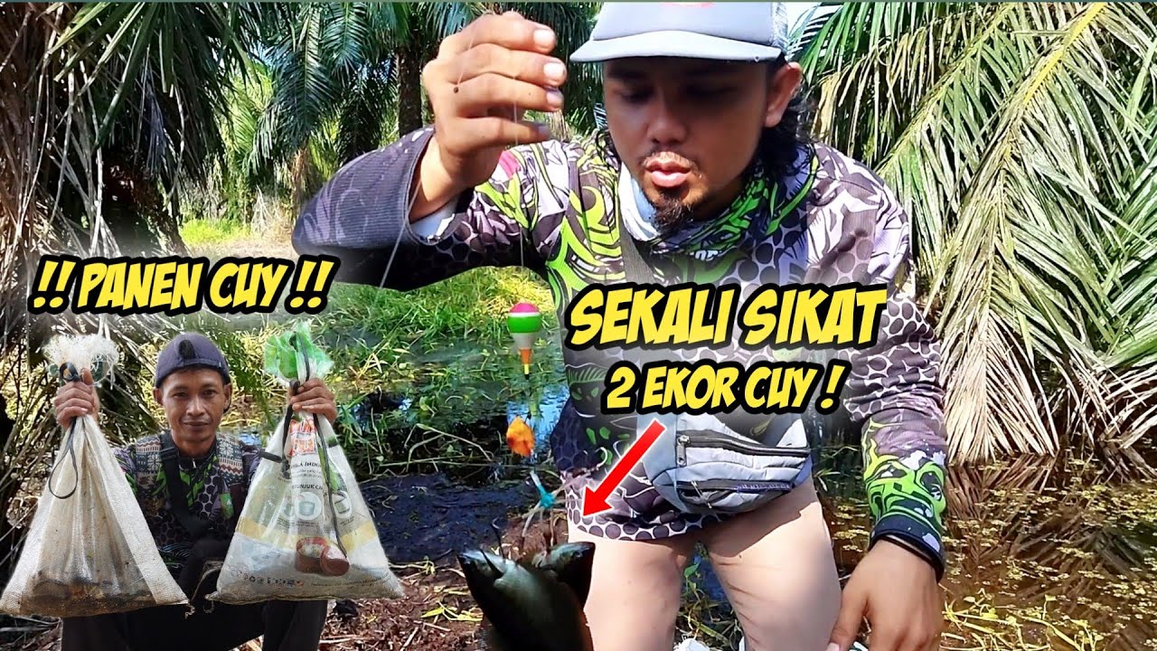 TRIK MANCING IKAN BULAN BULAN / TEMBAKANG AGAR TIDAK BONCOS #mancing#ikanbulanbulan#santet #garong