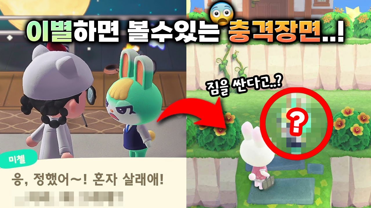 충격! 동물의숲에 이런 장면이 있다고?! 평소에는 볼 수 없는 신기한 영상 공개 😲