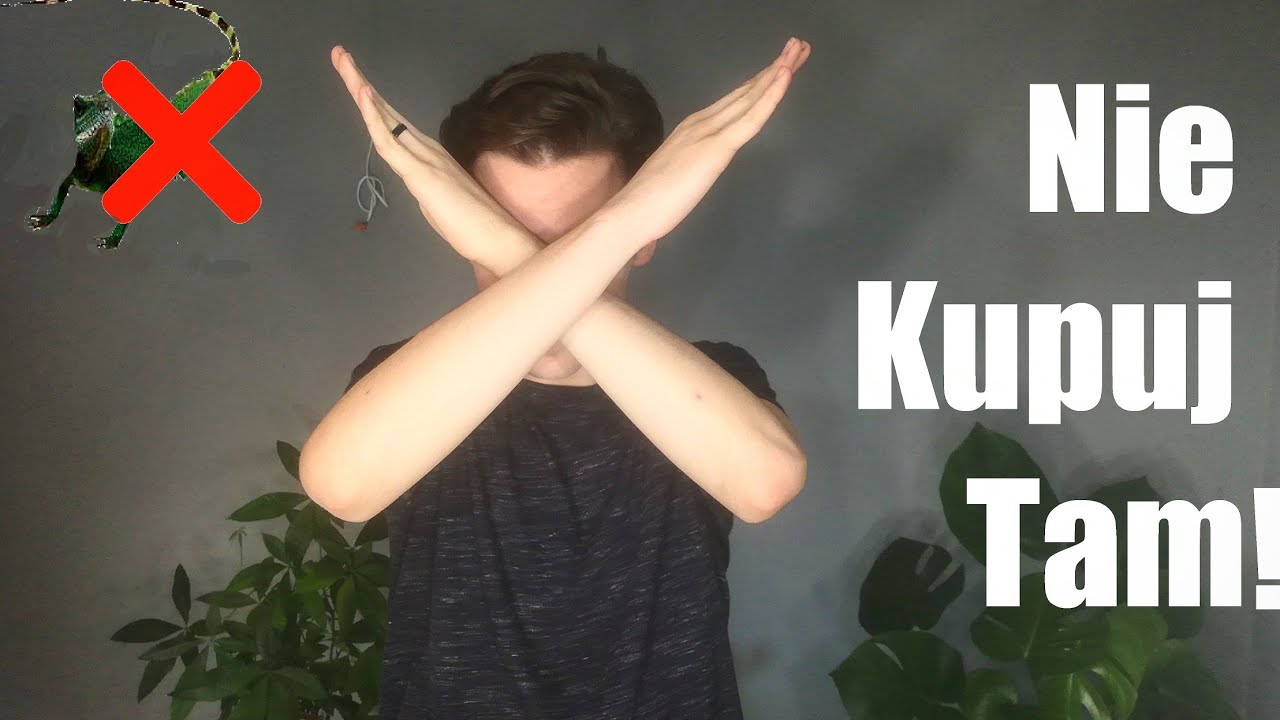 NIE KUPUJ TAM ZWIERZĄT!!