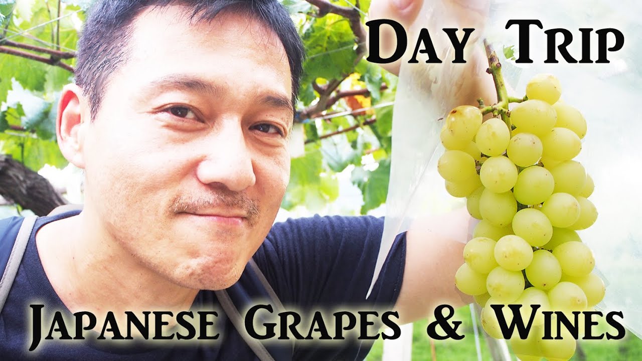Amazing Grapes and Wines in Yamanashi (Day Trip)【ぶどう狩り】山梨・勝沼でぶどう三昧ワイン三昧・・ご満悦