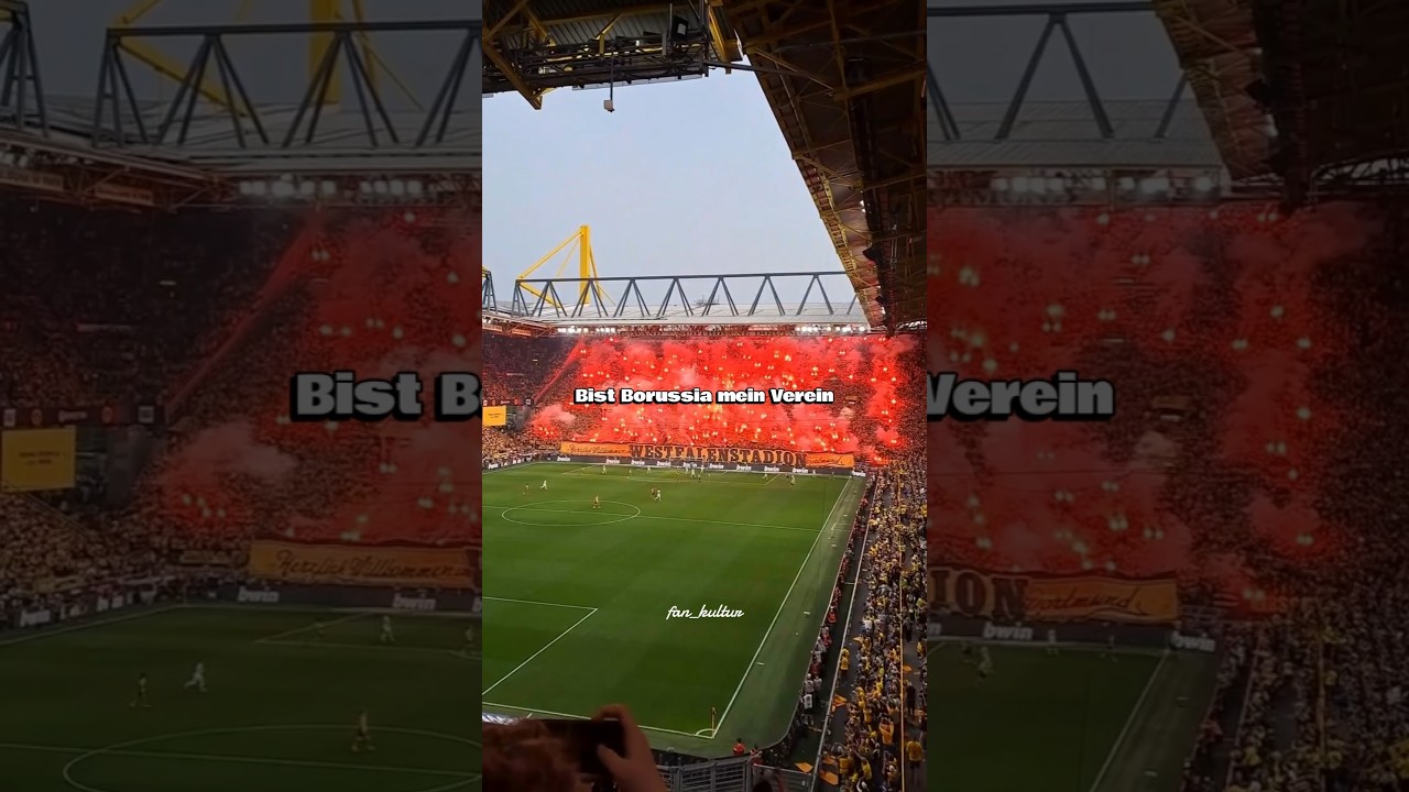 Borussia Dortmund! Wir tun das alles nur f&uuml;r dich! Fangesang Edit mit Text! ⚫🟡 #borussiadortmund