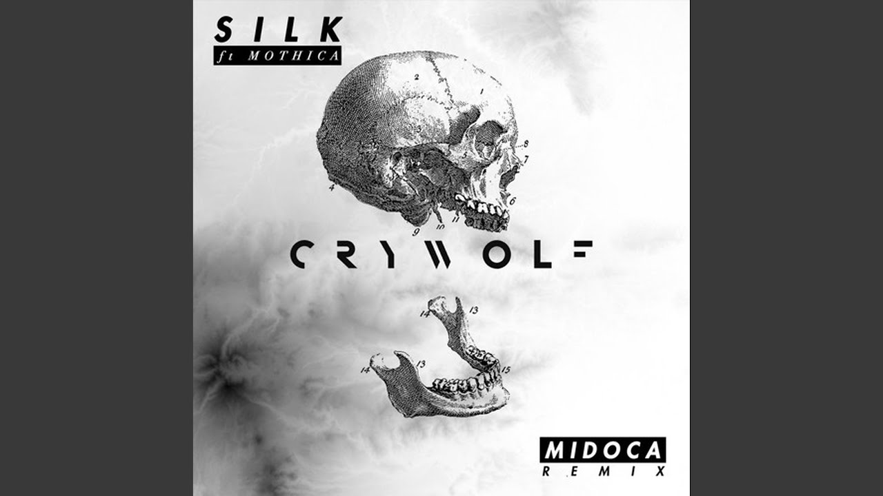 Silk (Midoca Remix)