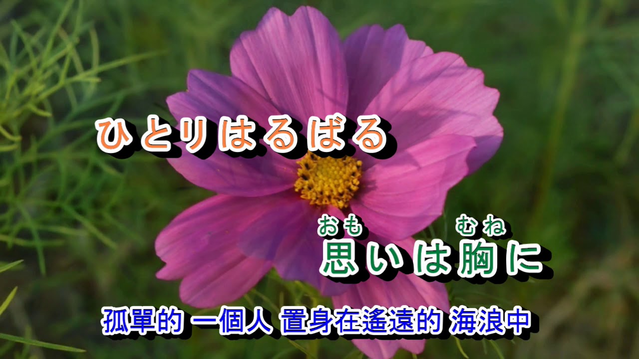 江差恋しや*** 戀歌  音圓 2056