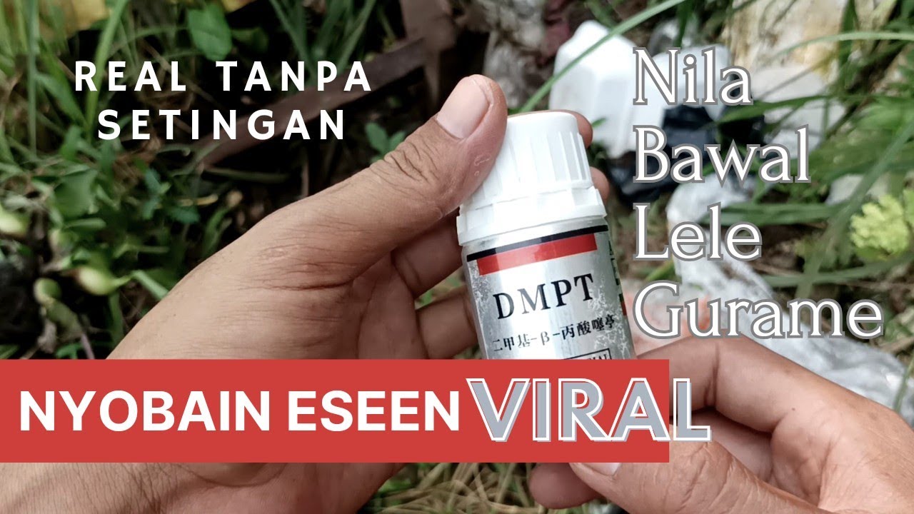 DMPT Umpan Ikan , Essen VIRAL ‼️ Semua jenis Ikan, Udang, kepiting, Real Tanpa Setingan