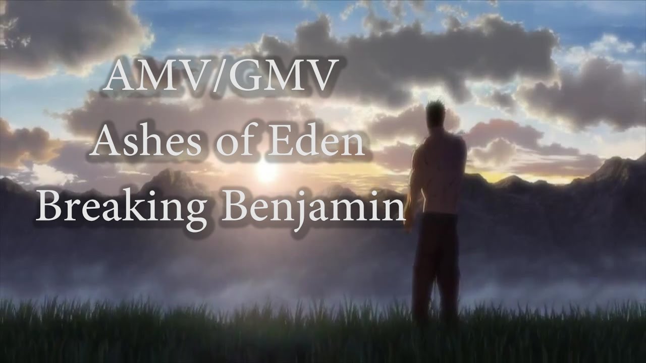 [AMV/GMV] 