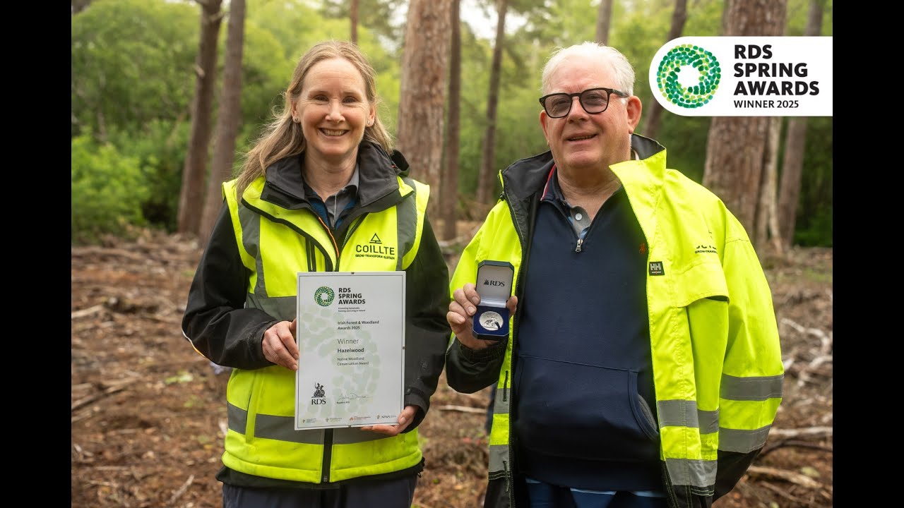 Hazelwood, Co. Sligo | 2025 RDS Native Woodland Conservation Winner