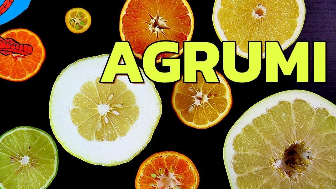 Limoni e Aranci non esistono allo stato selvatico, lo sapevi?