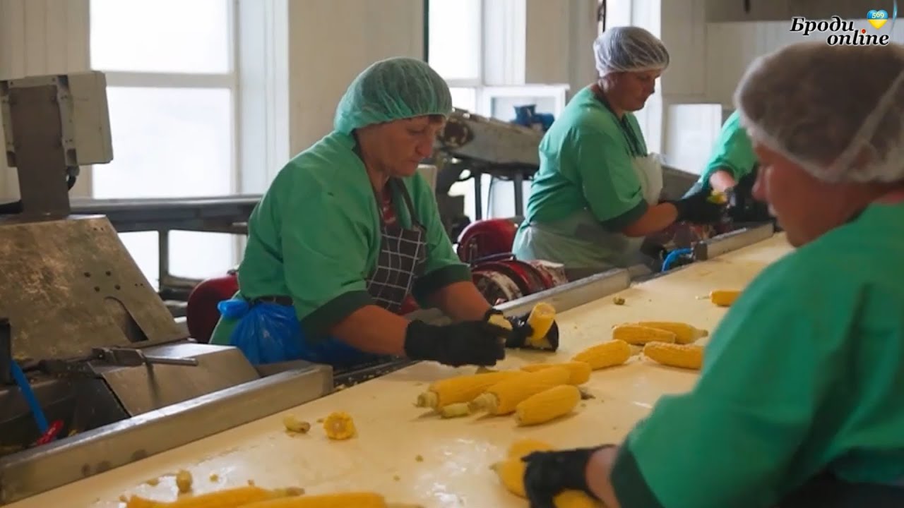 Підприємство «Щедра нива» у Радивилові працює на максимальній потужності (ТК 