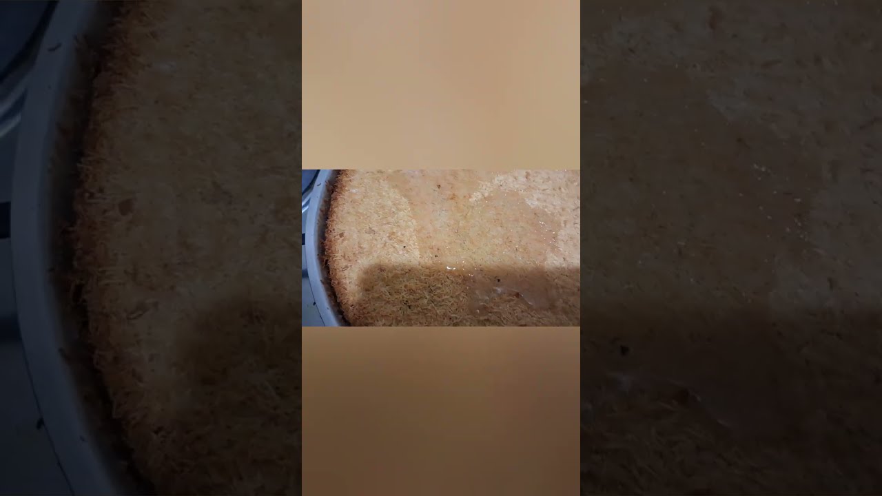 أحلى طعم لصنية الكنافة