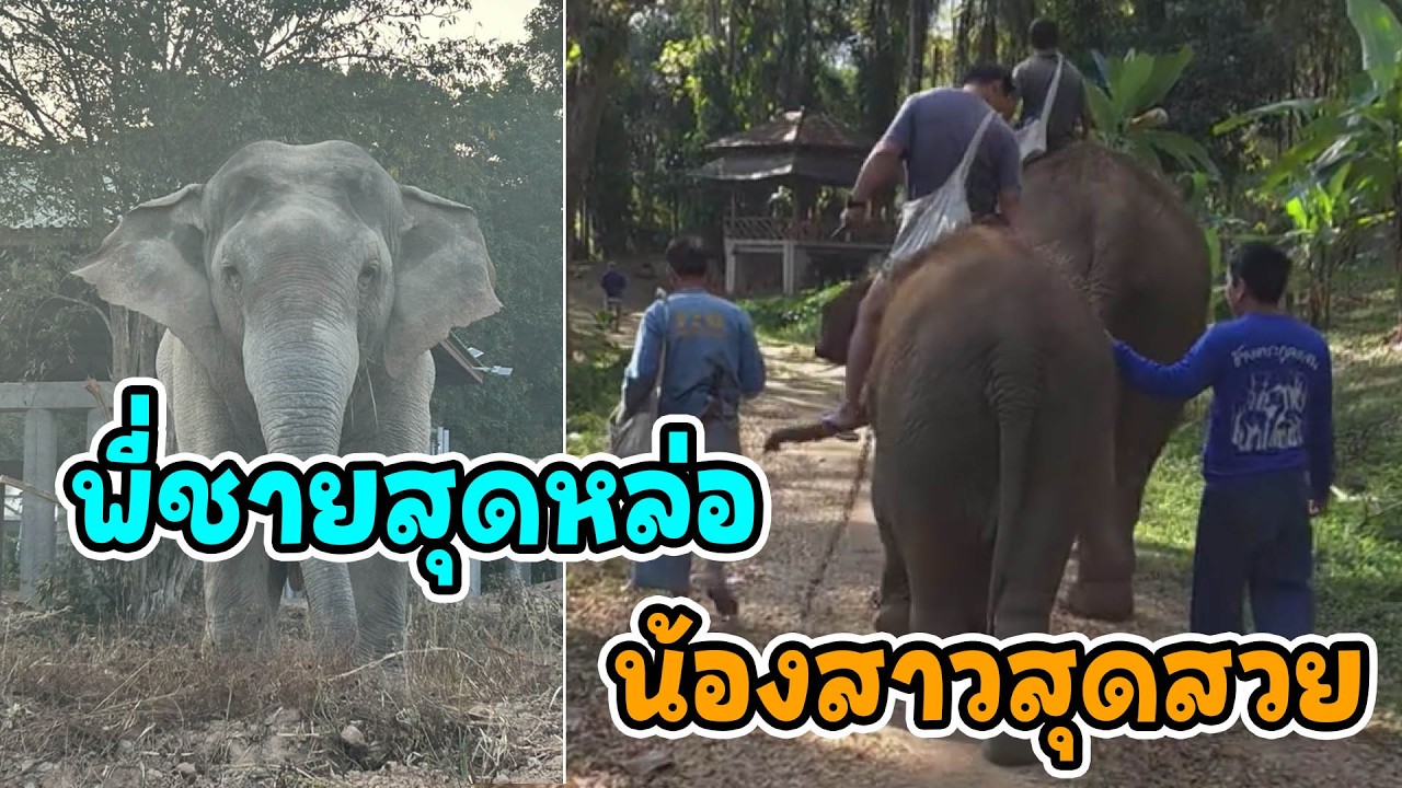 ส้มจุกมีนา