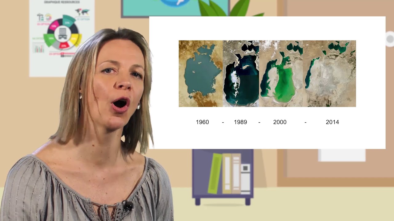 Problématisation et investigation : un exemple de mise en œuvre à l'école primaire