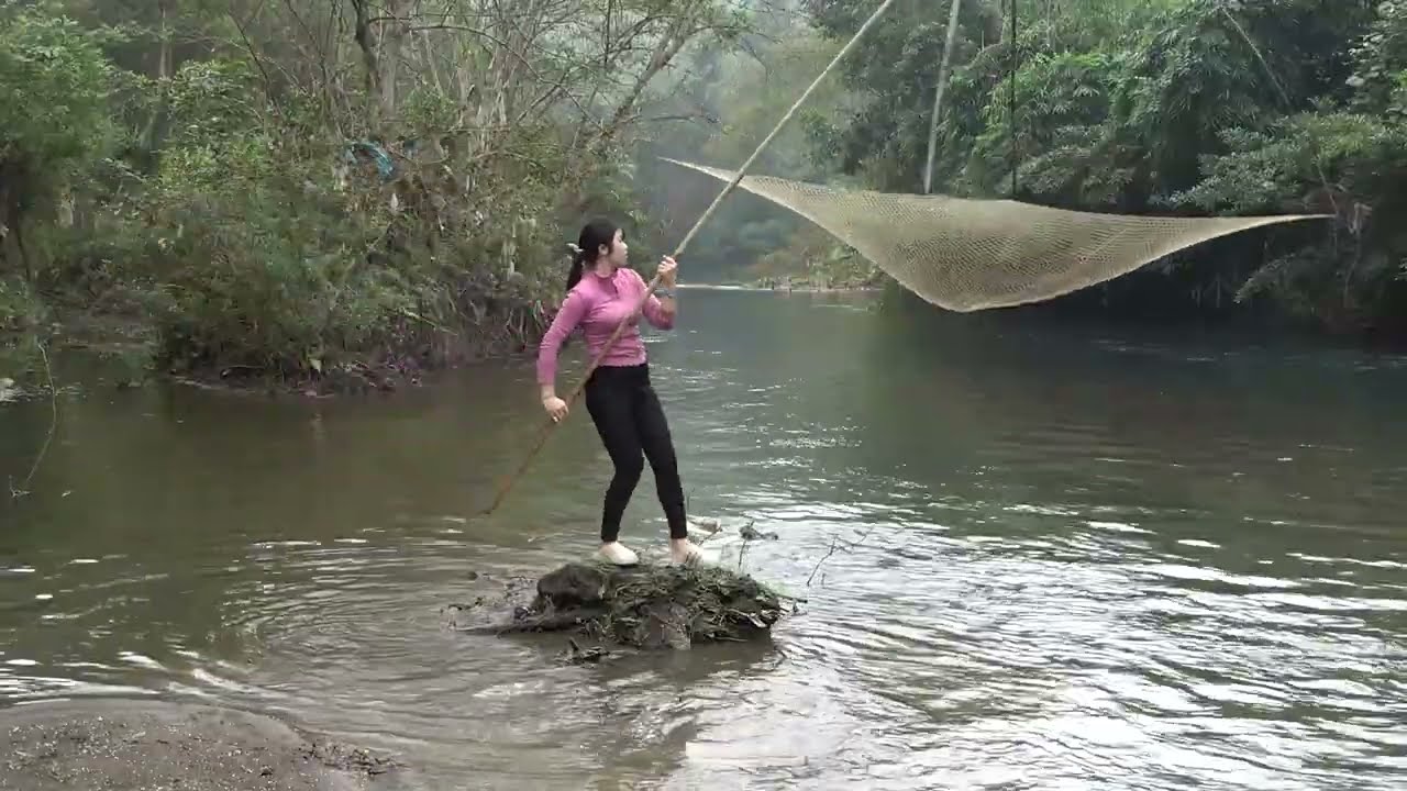 Survival Challenges, Outdoor Adventure, Camping, Cooking, Fishing In Streams Catch a Lots of Fish