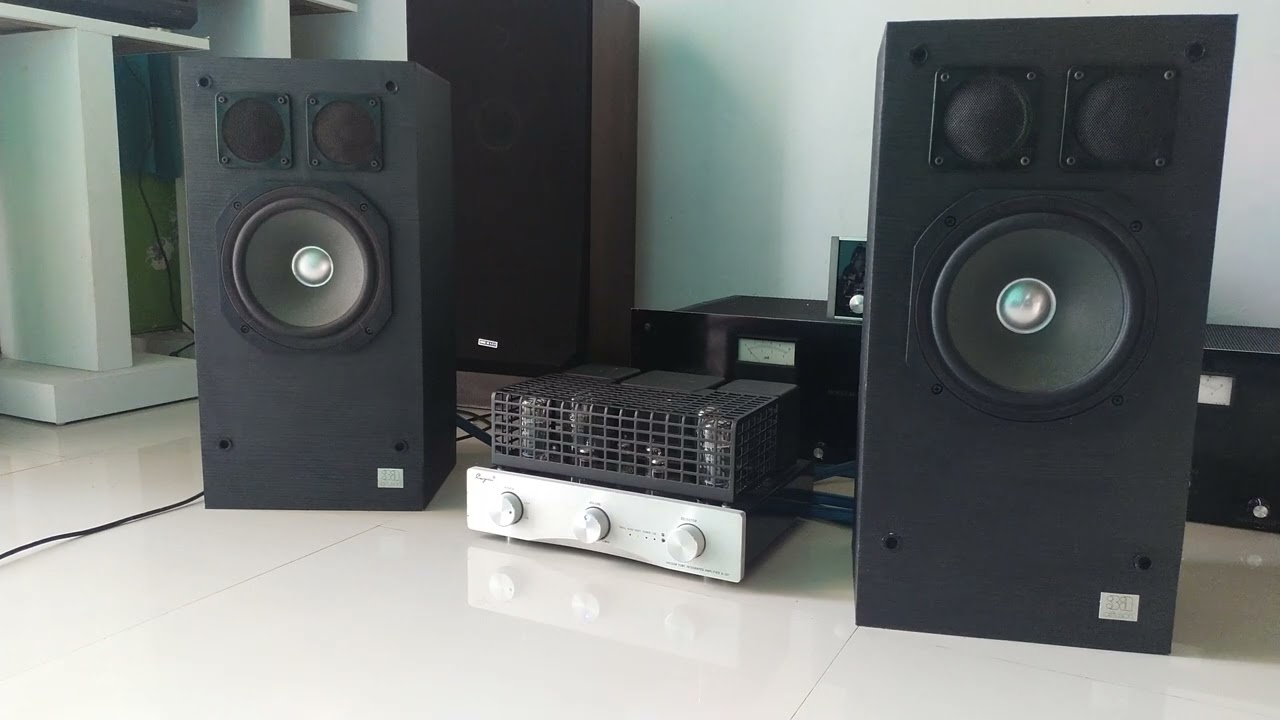 Speaker 3a defussion Made in france with amplifier tube cayin A50T analog sound