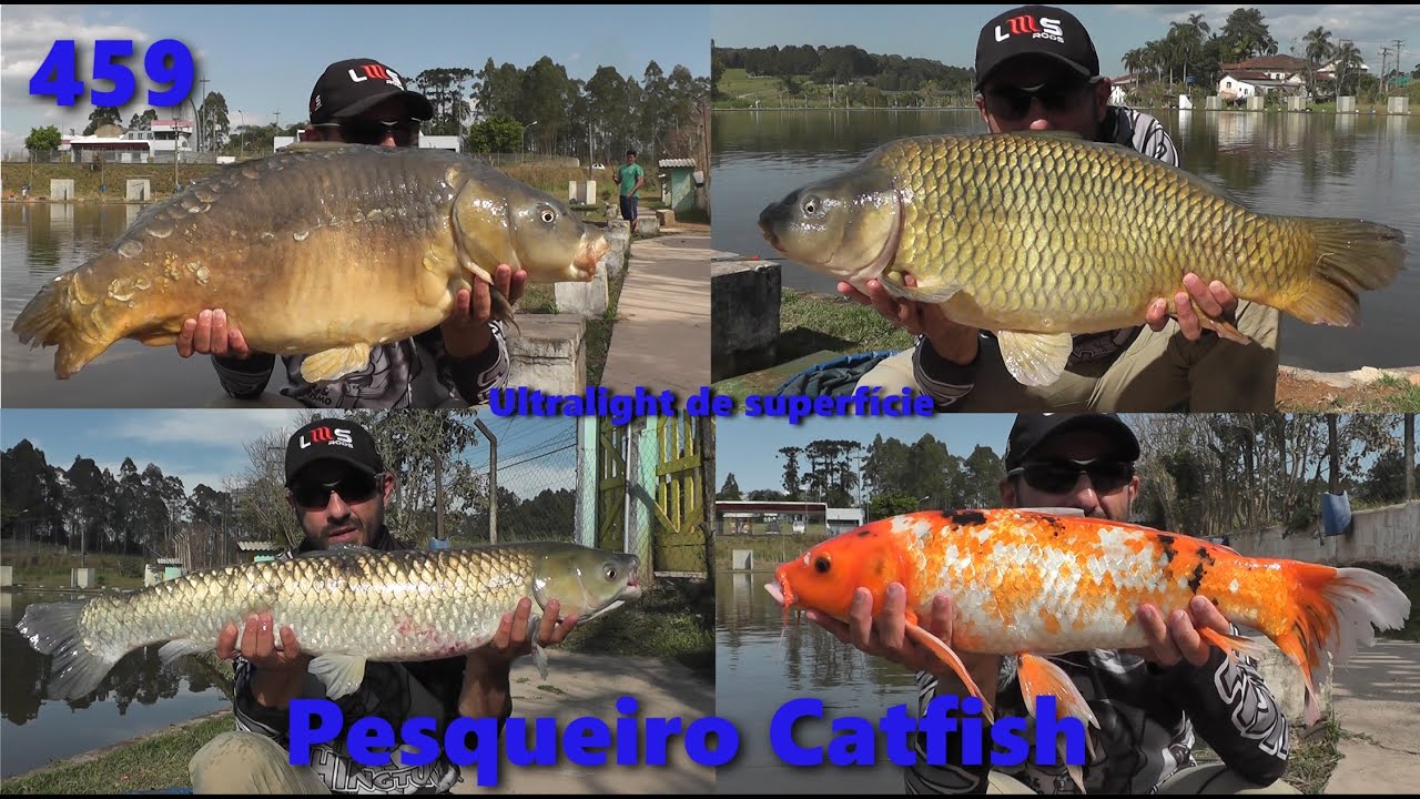 As Carpas Gigantes no Ultra light no Pesqueiro Catfish - Fishingtur na TV 459