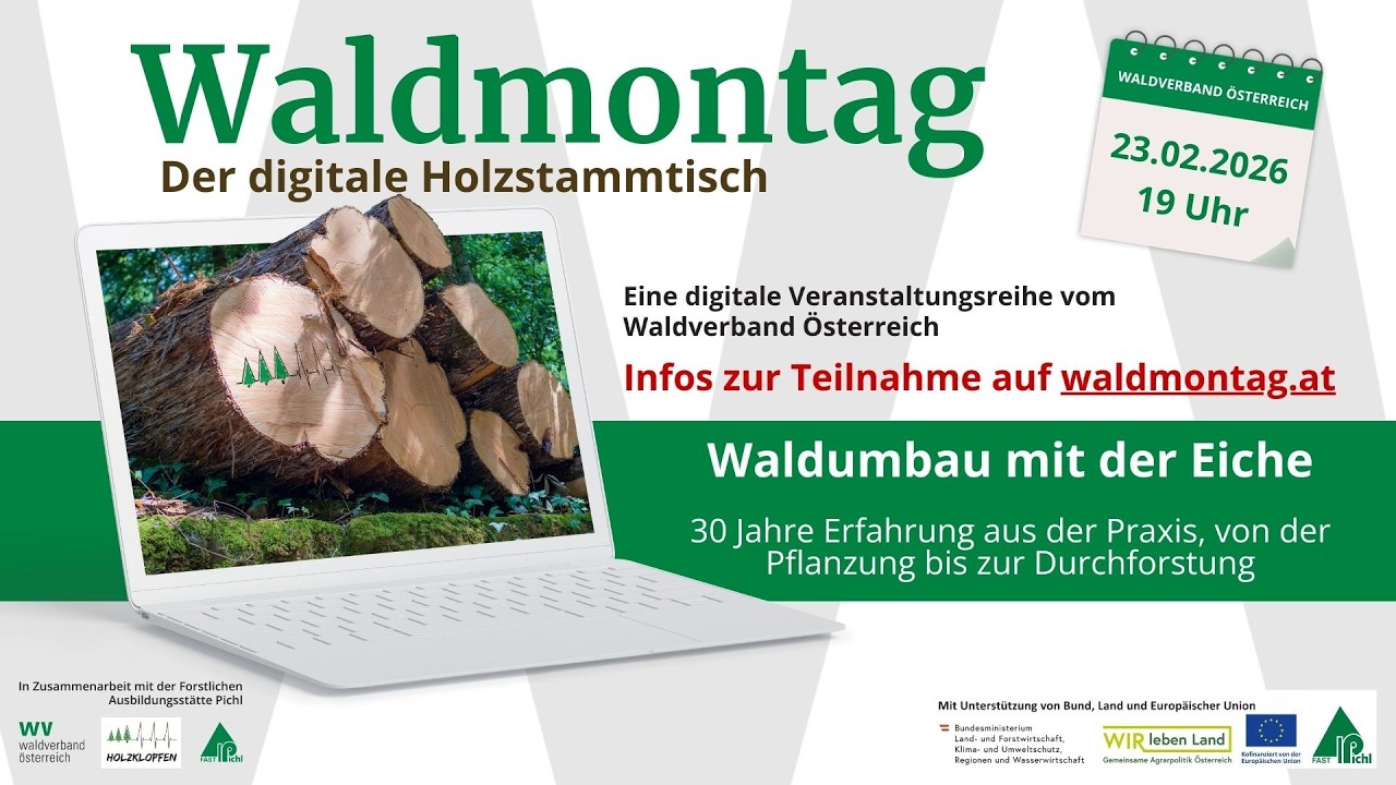 20260223 Waldumbau mit der Eiche