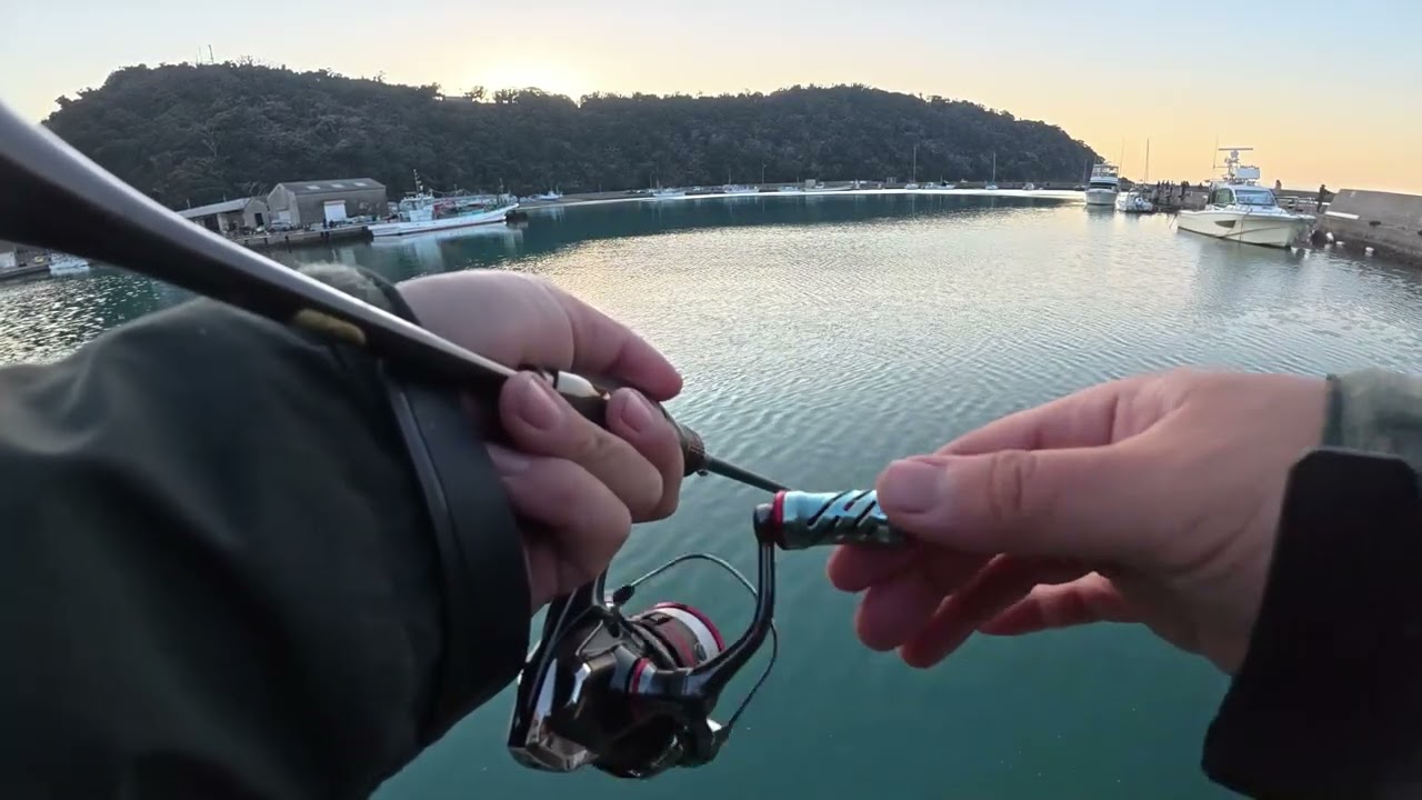 【千葉釣行】カマスが釣れている漁港で良いポイントには入れなかったけどそこそこ釣れた動画