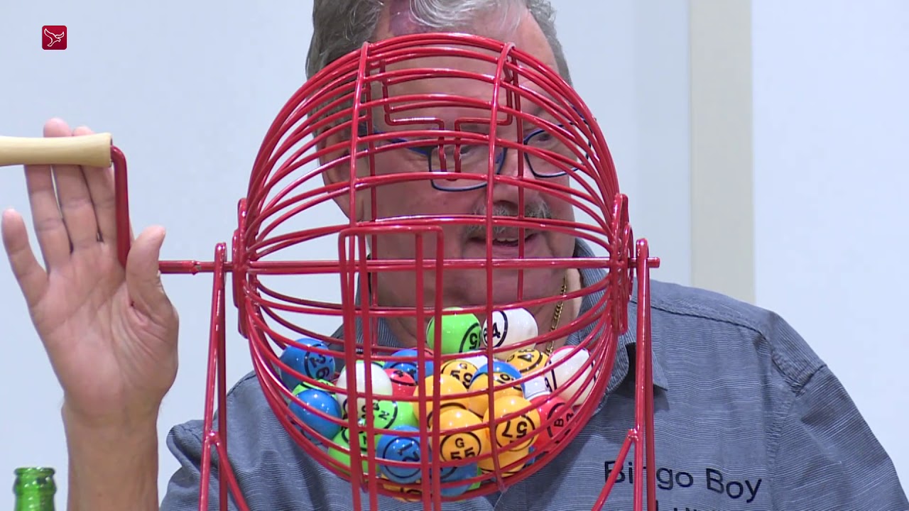 Bingo als bindmiddel