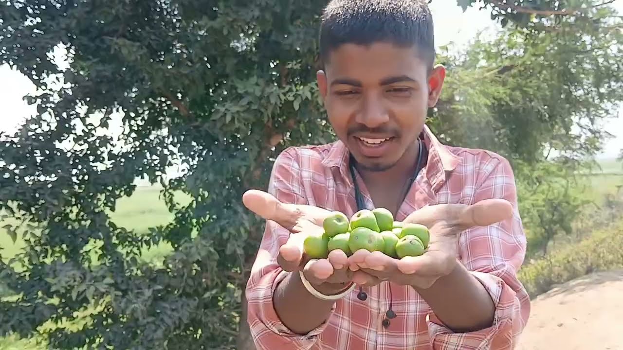 🔜 इस पेड़🌳 पर बेर🫒 है mera dost 🫂torega 🚫✨️