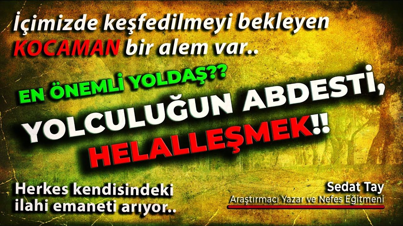 Herkes Kendisindeki İLAHİ EMANETi Arıyor / HELALLEŞMEK Yolculuğun Abdesti  / @sedattay