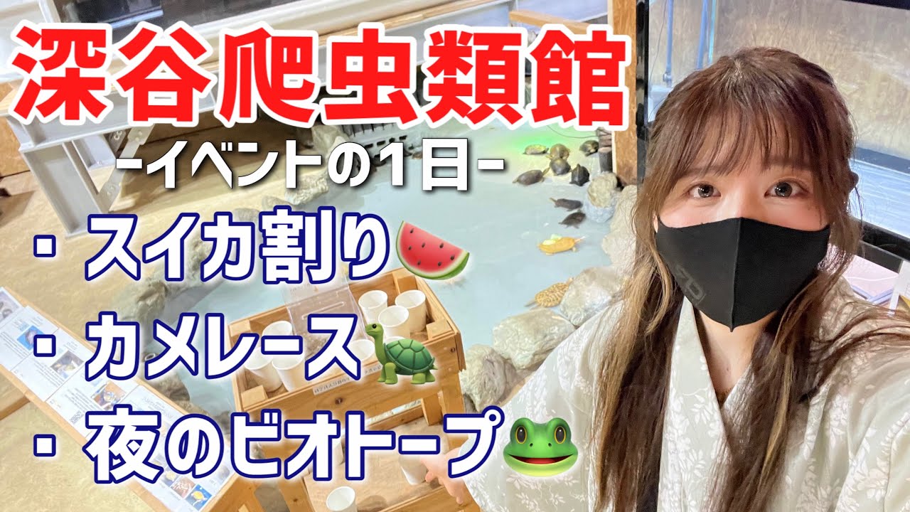 【深谷爬虫類館イベント】館内の様子から夜のビオトープ探索まで全てお見せします！！