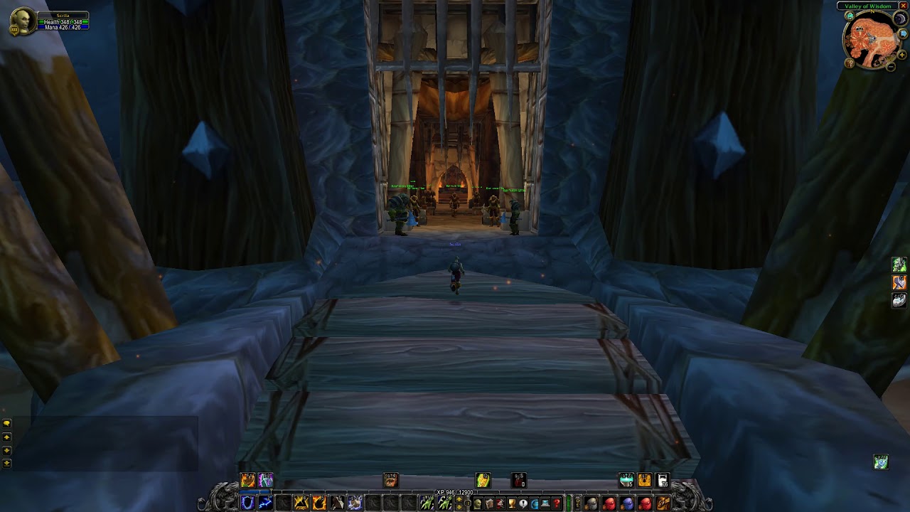 Orgrimmar Shaman Trainer Location, WoW Classic
