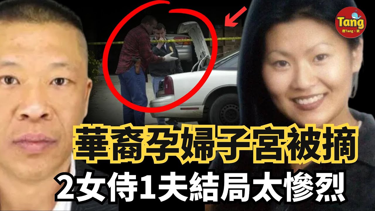 2女侍1夫爭相生子但結局太慘烈！ 3人均是華裔，孕婦子宮不翼而飛，生前曾是名校高材生！#真相 #家庭 #謀殺案@TangtangSay