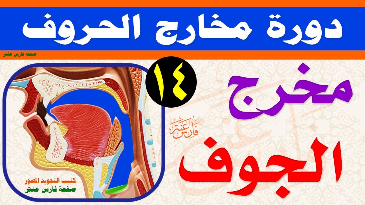 دورة مخارج الحروف وصفاتها مع شرح الجزرية مخرج الجوف الدرس 14 شرح أنواع المخارج وتقسيمها